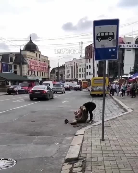 ������� ������������ ����� �� �����-����������