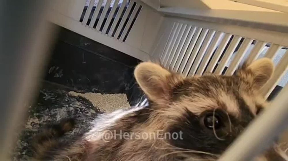 ���� �� �������: ������� ���� ��� � ��� ������ ����� ���� � �����!