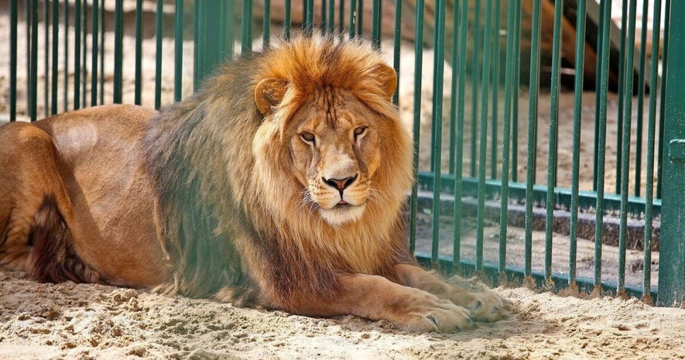 ������: ��� ������ ������� � ������ �� ������ ���������� ��������, �� � �������� ������