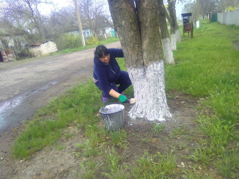 ����������� ������ �� ��������������� ��������� ������� �.������� �������� � ������ �������: