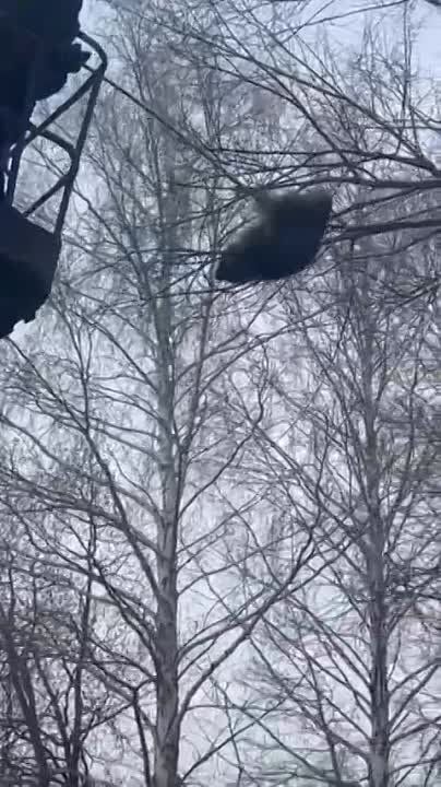 ���� �� �������: ������, ������� �� ����! � ���������� ����� � ������ ����� ���������� �����