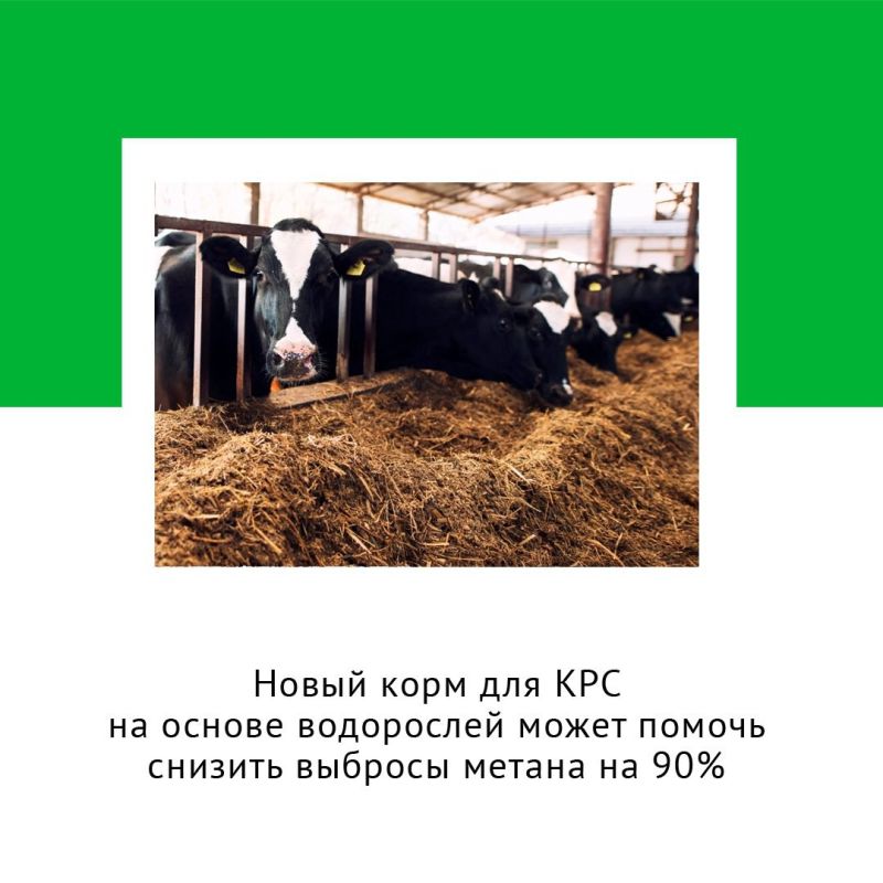 ����� ���� ��� ��� ����� ������ ������� ������� ������ �� 90%