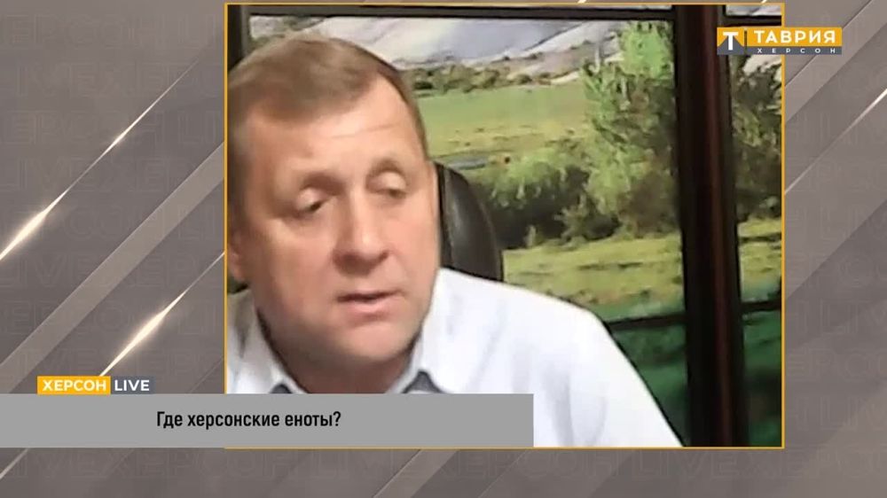 ���������� � ���� ����� ��� �������� � ����, � ��� ����� � �������, ��������� "������" �������� �������� ����� "������" ���� ������