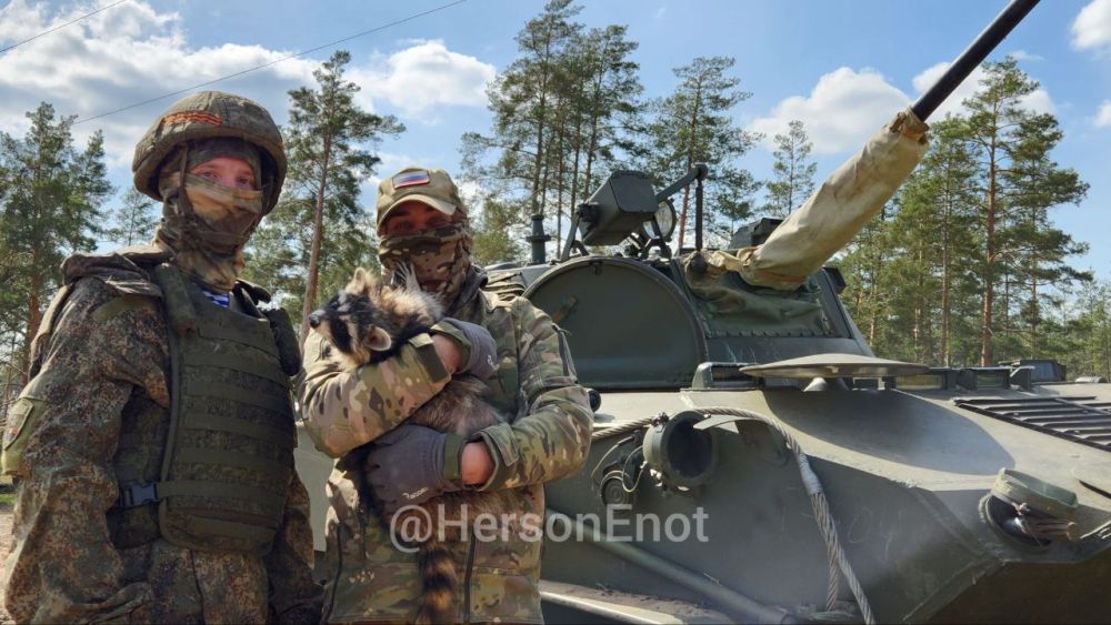 ���� �� �������: �� ������� ������, �������!