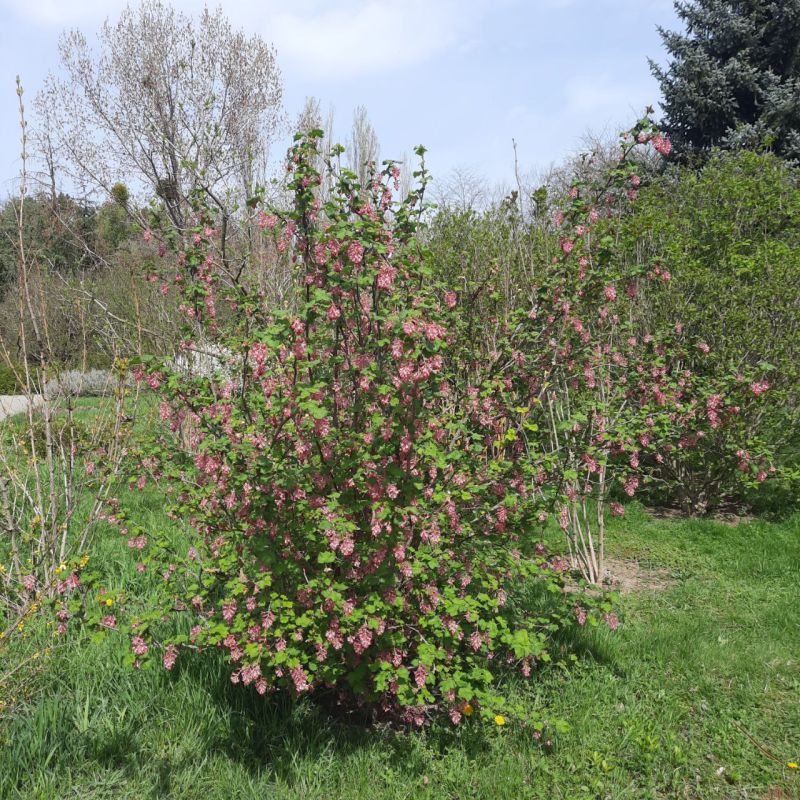 ���� ������� �������, ������, ������� ����� ������� ��������� ����� ��������� ����������� ��� ����