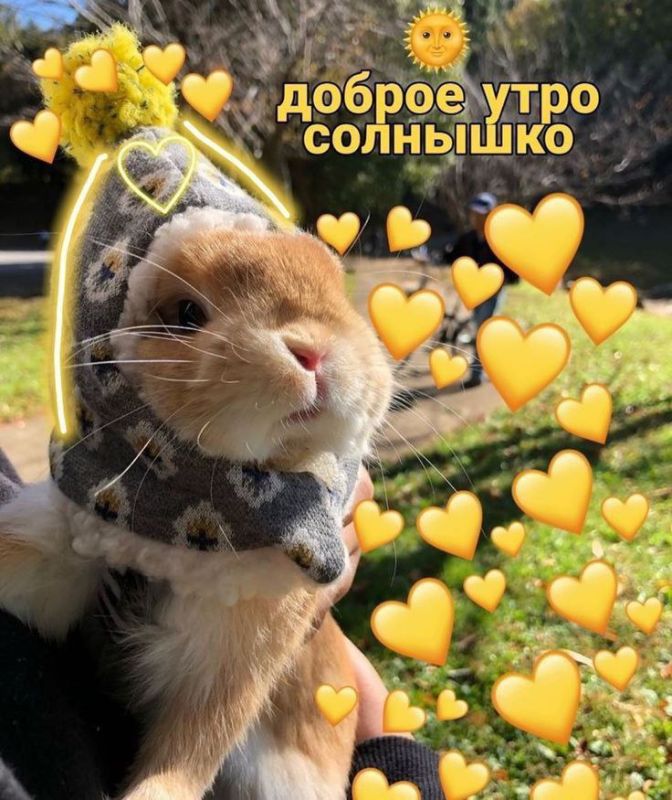 ����� ������ ���, ��� ��������