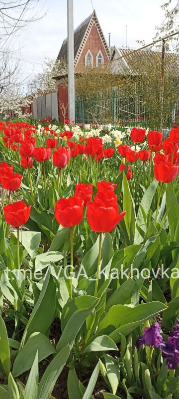 ����� �������� ����� � ��������� ������������� ������