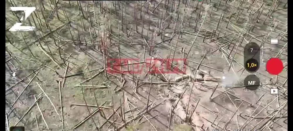 ������� ������� �� �Ի. �������������� ������������� ��� � 4-� ������� �� ������ ������� (��������� ����� ������� ����) ���������� �� ���������� ����������� ������� � ������