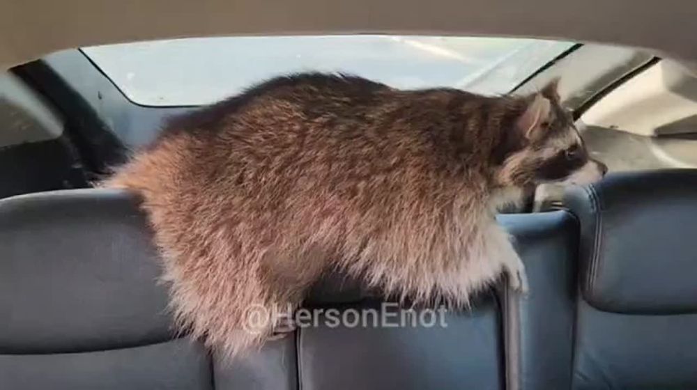 ���� �� �������: ��� �, ������� � ����� ������