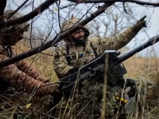 ��������: ��� ��������� ����������� � ������