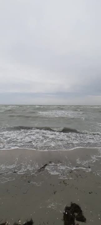 ����� ������.... (������� ����� �� ������)