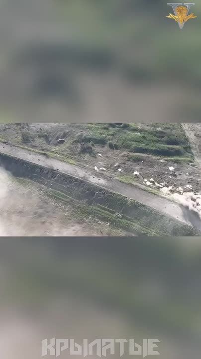 ��������� - ���������� - ��� ����, ���� � ������� ���������!