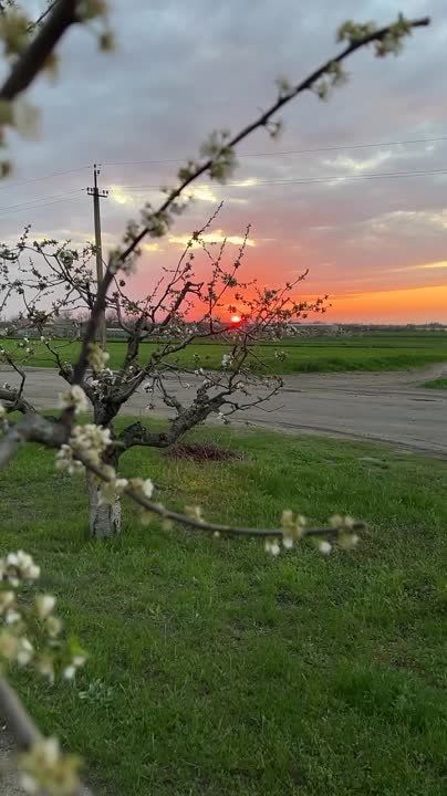 ����� ��������� ����� �����