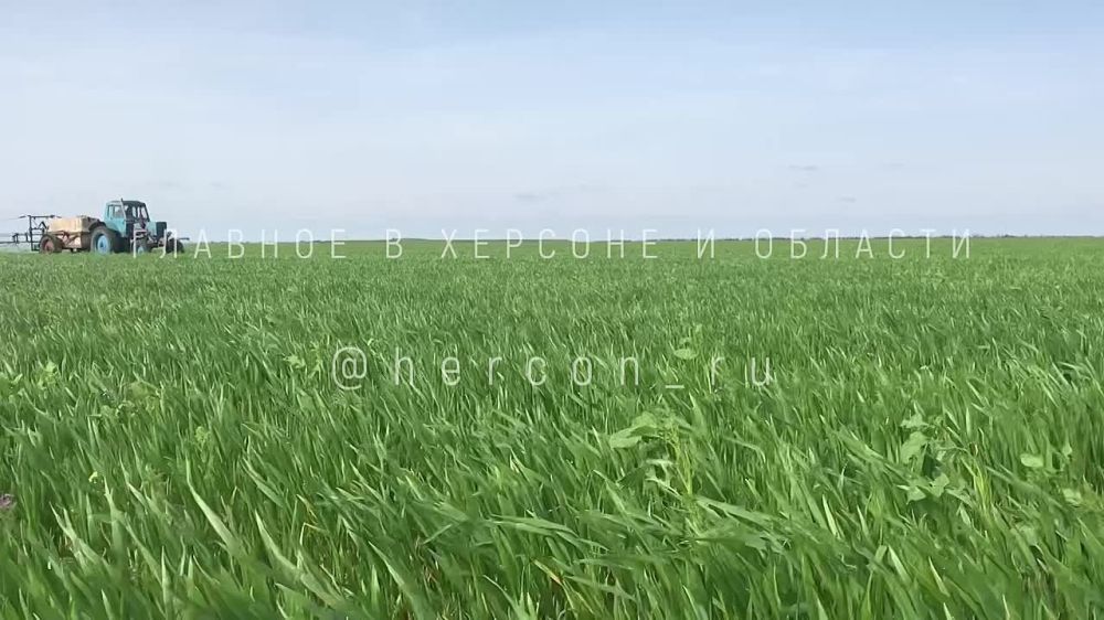 ������� ���������� ���������� ���������, ����� ���������� ������� ������ ���� � ������ ������� ������