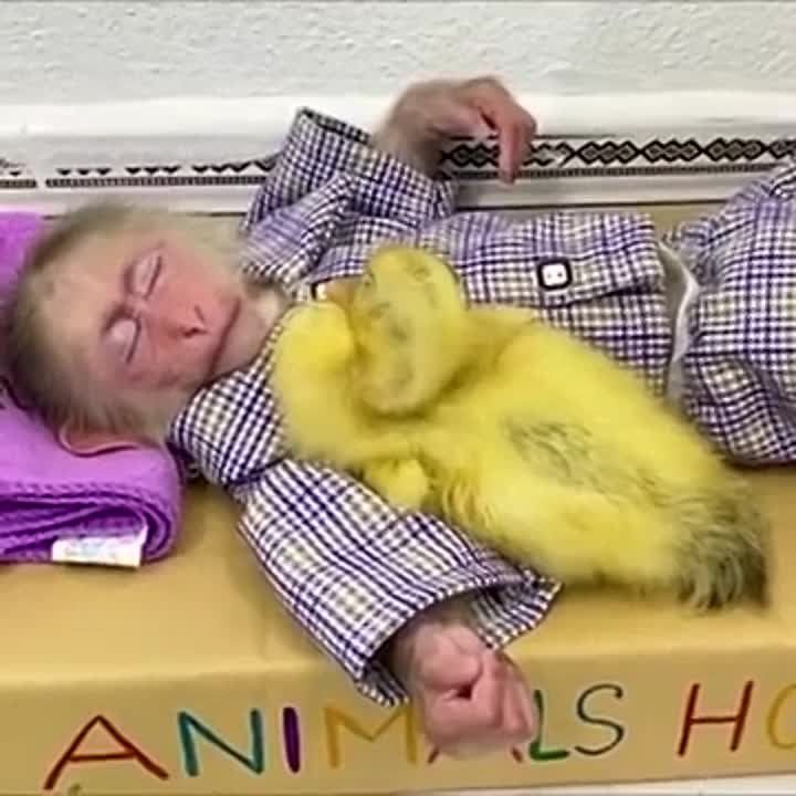 ������� ������� � �����..