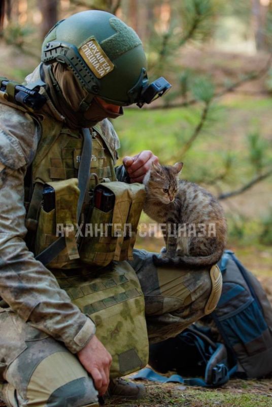 ���������� ������ ����� ������ �������� �������� ������