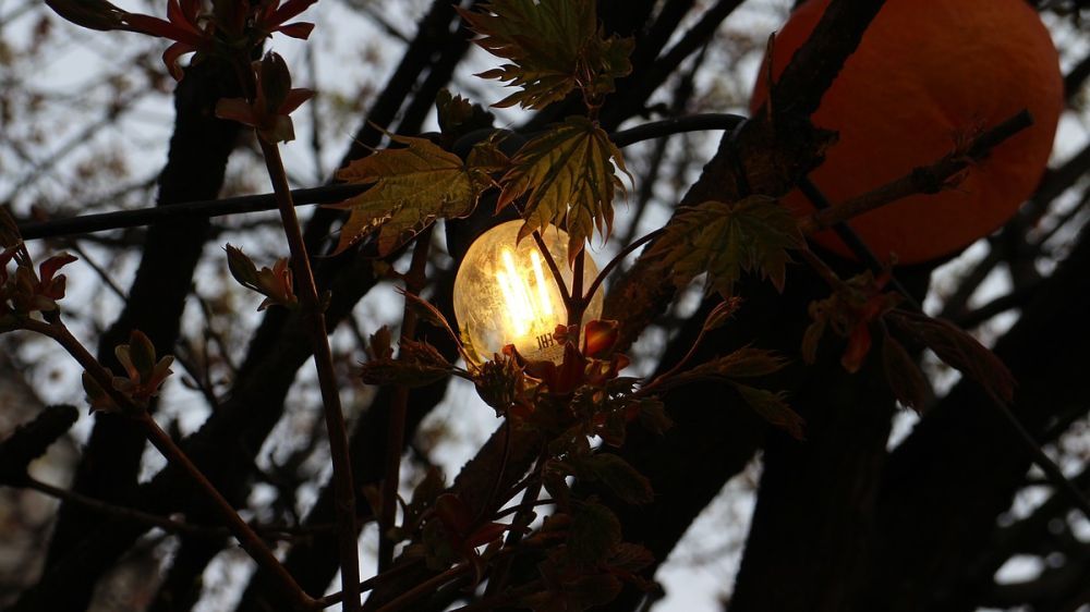 � ����������� 18 ������ �������� ������������� �� 24 ������