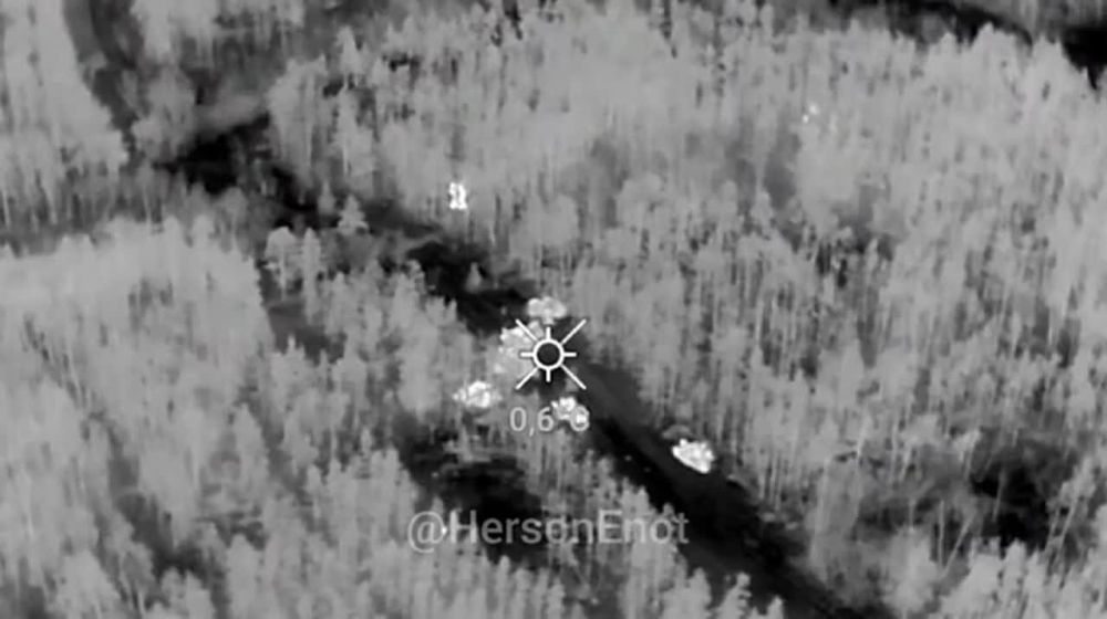 ���� �� �������: ������ ������ ������������� ��� � ���������� ����