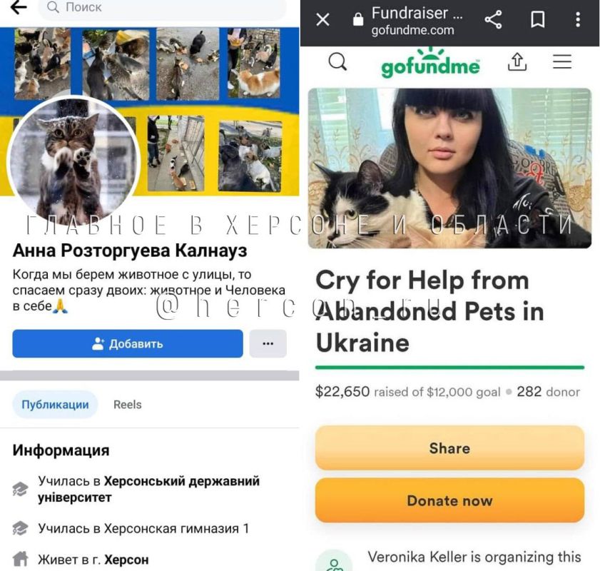 ���������� ������� ������� ����������� ������ �� ������� ��������, ������� ��� ��� � �����