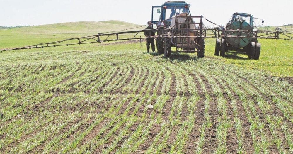 ������� ���������� ������� ������� �������� � �����