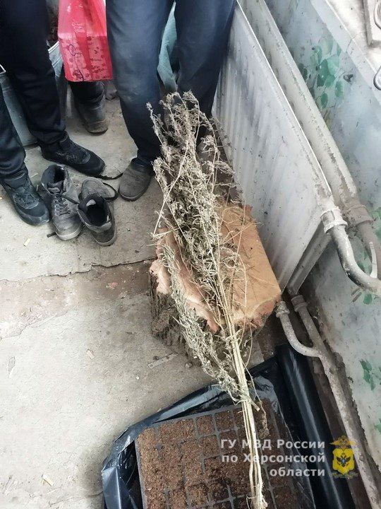 ����������� ����� ������ ��������� � ����������� �� ���������� �������