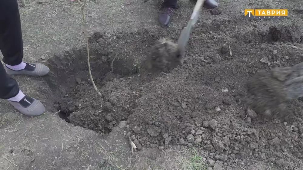 �� ���������� ������������ ������������ ������������� ������ ����� "��� ������"