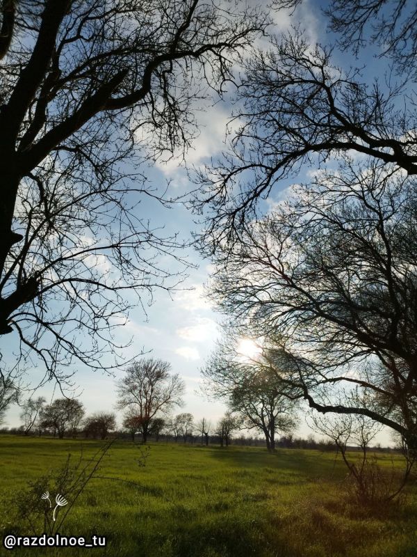 ����������!!!. � ����� ��������