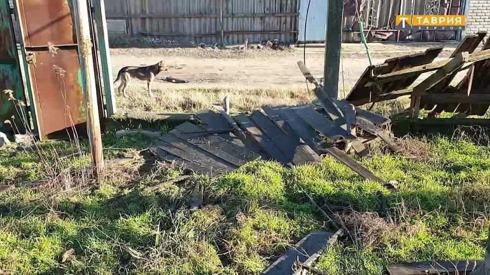 � ����� �������� ������� ������ ��������� ����������� �� ���������� �����������, ���������� �� ������� �������������� �������