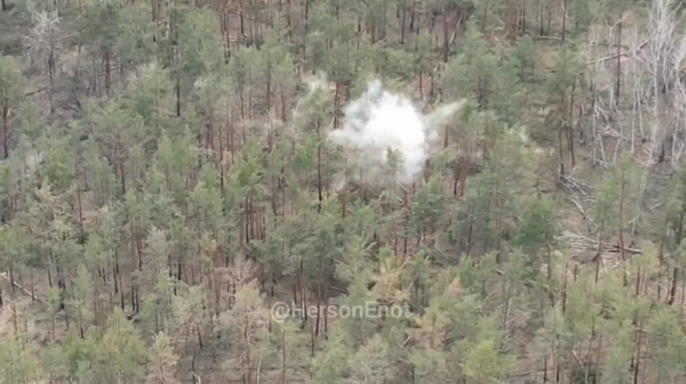 ���� �� �������: ���� ���� � ���������� ����