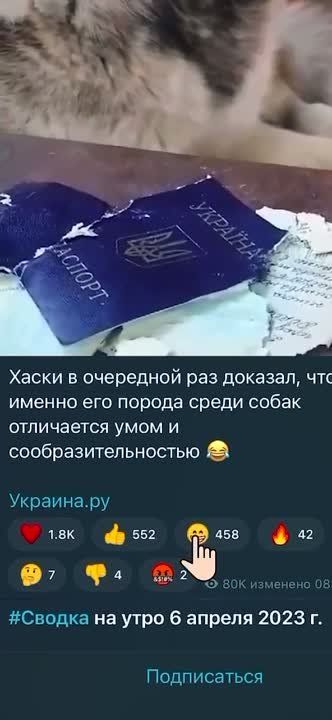 ������� ��� ������� ����� ��� ���� �� ����