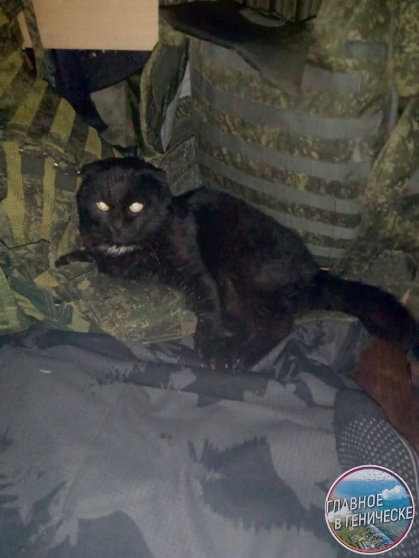 ���� ����� � ����������� ����������� ������ ������