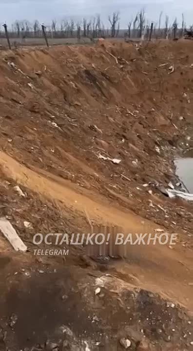 ��������� ������� �������������� ����� �� �������� ��� ��� ��������