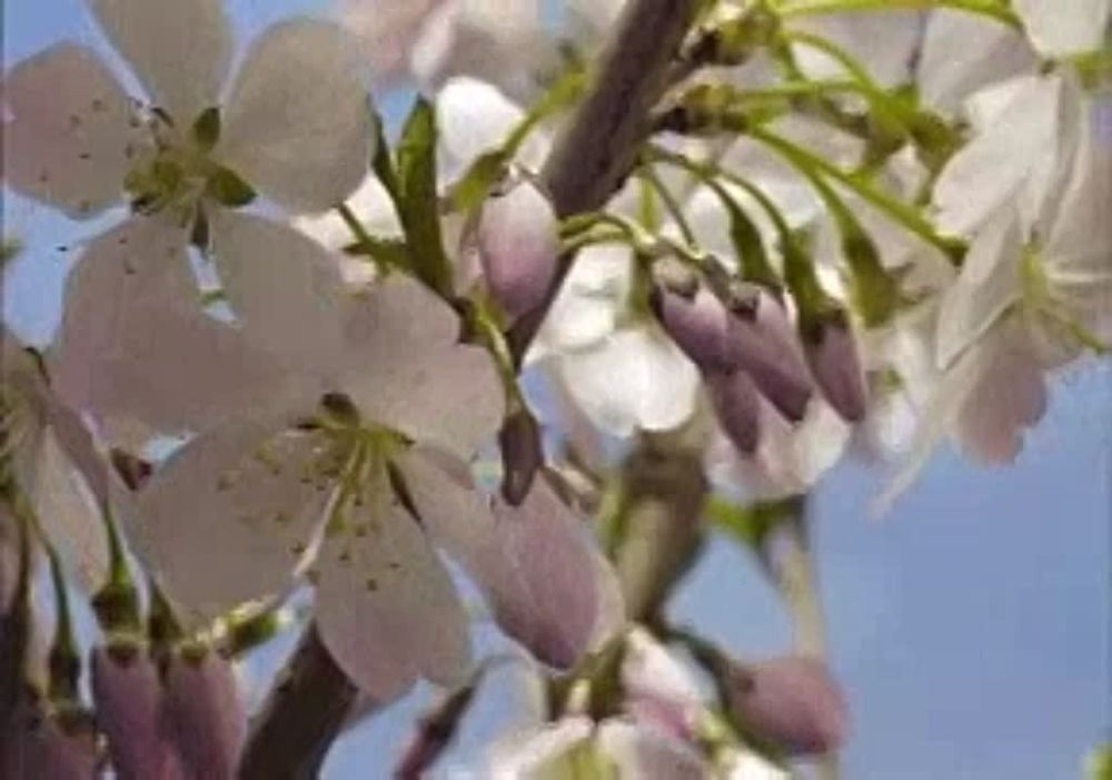 ������� ��������� ����. �������� � ��������, �� �� ����� �� ����� ������������ ������� ������