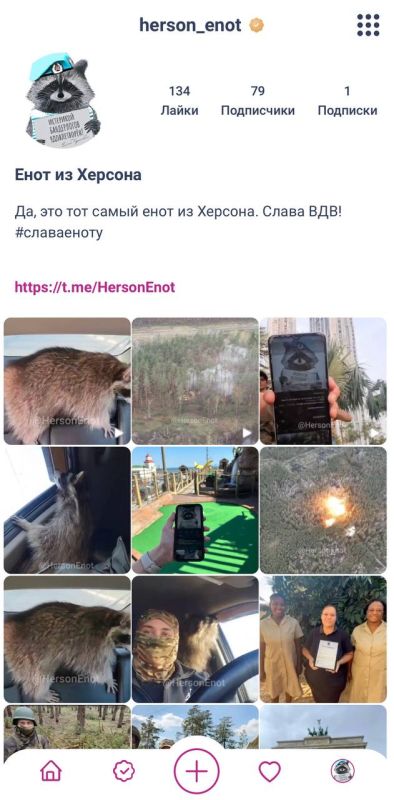 ���� �� �������: ������, � �������� ����� ���������� ���������� ����