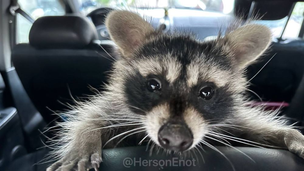 ���� �� �������: � ������ ����� ������ � �������� ��� ����������