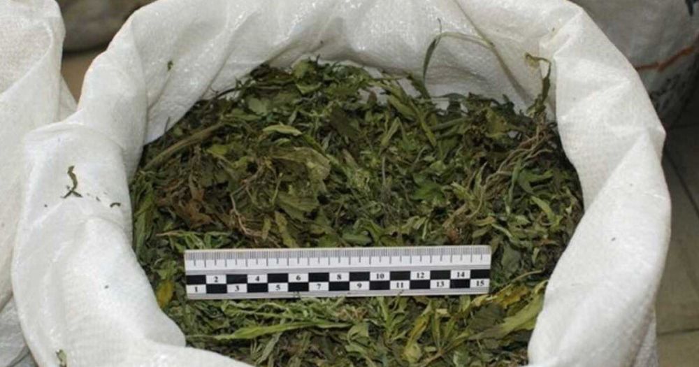 � ���������� ������� ������ ������� ������� ���� ����� ����������