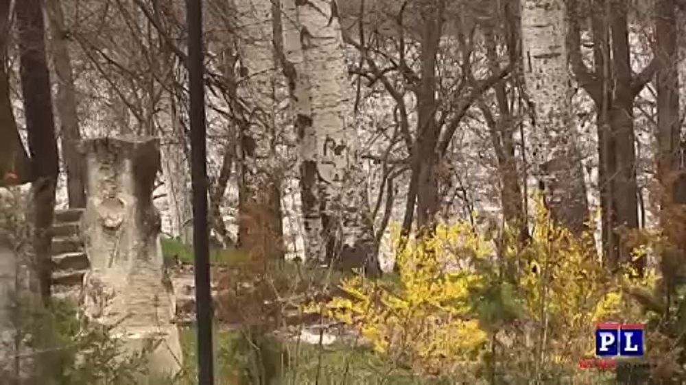 ������ ���������: �� ��������� �� �������������� ������ ���������� � ���������� �������