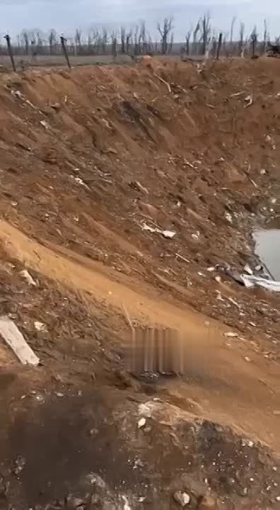 ���������� ����������� ������� �� ��� ������