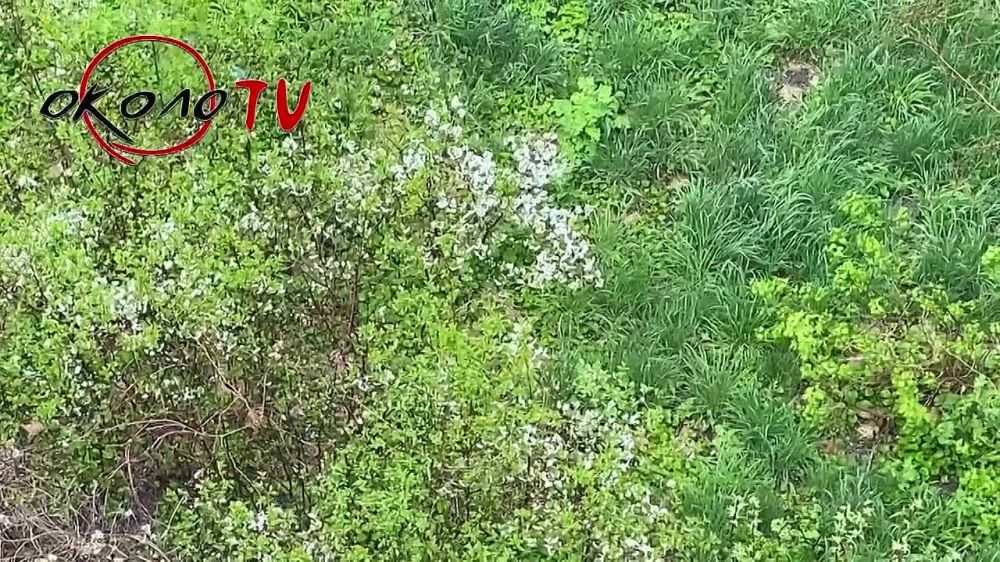 � ������� ������... ��������� ������ ������� (����)