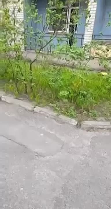 ����� �������....