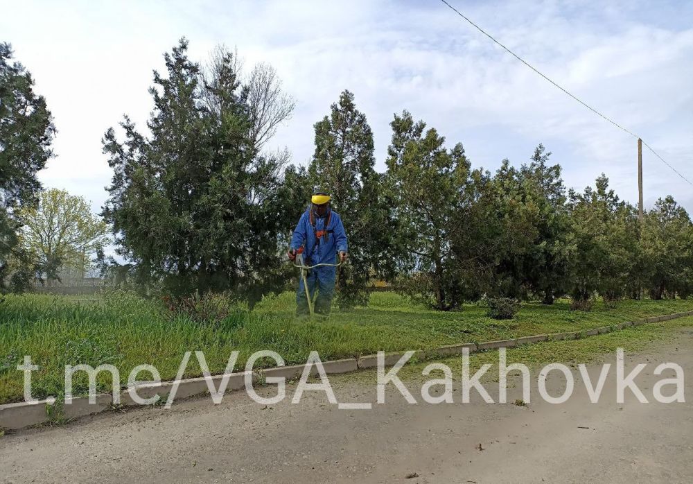 ���������� ������������ ����������� �����������