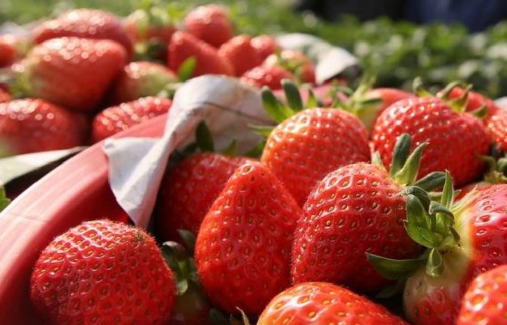 ���� �� �������� � ���������� ������� � ���� ���� �������� ��������