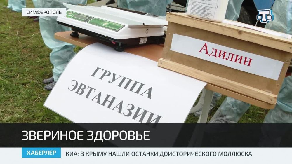 ���������� �� ����� �������� ������������� � �������� ����������