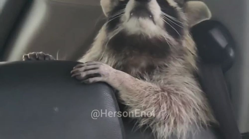 ���� �� �������: ������� ���� � �������� ���! ����, ����� ���� ������ ����