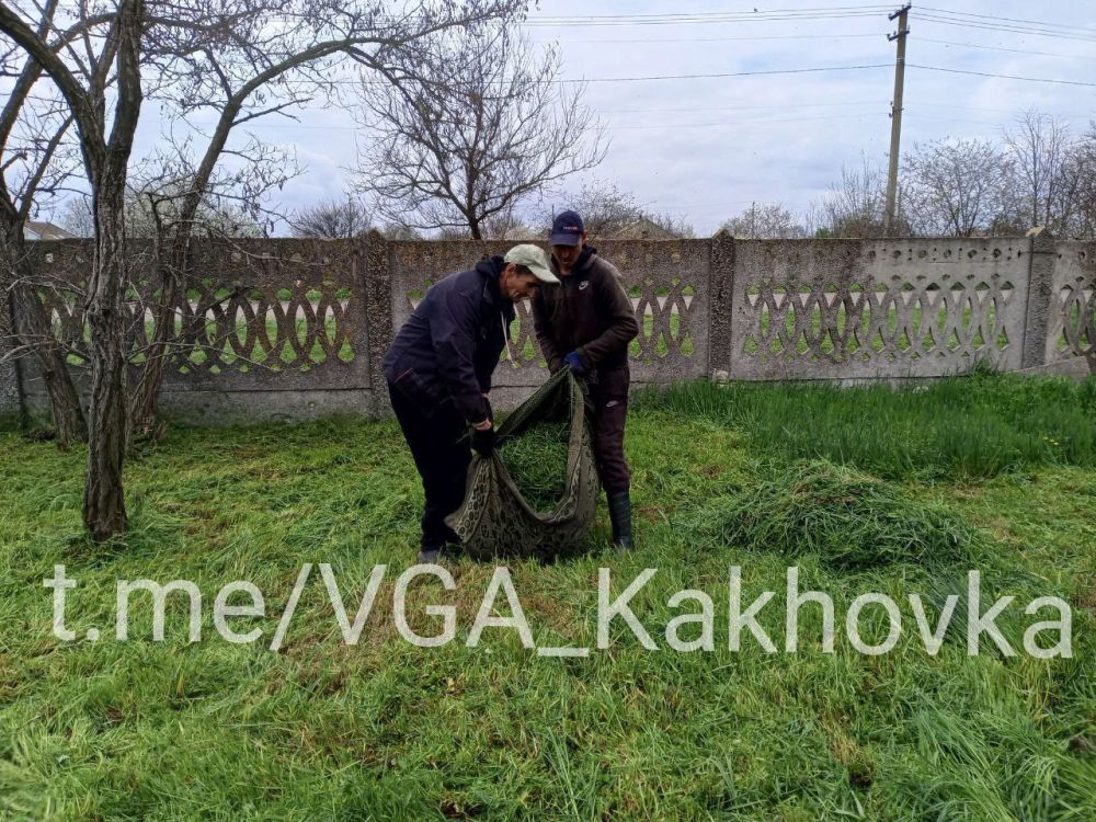 ����� ��������� ������ �������: � ��������� ������������� ������ ������ ���������� �� ���������