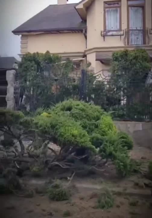 ����������� �������� ������� �� ������� ���