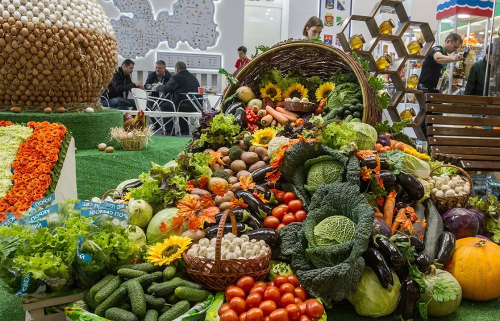 � ������ � 6 �� 9 ���� 2023 ���� ������� ��������� �������������������� �������� �������������� ���� �����2023�