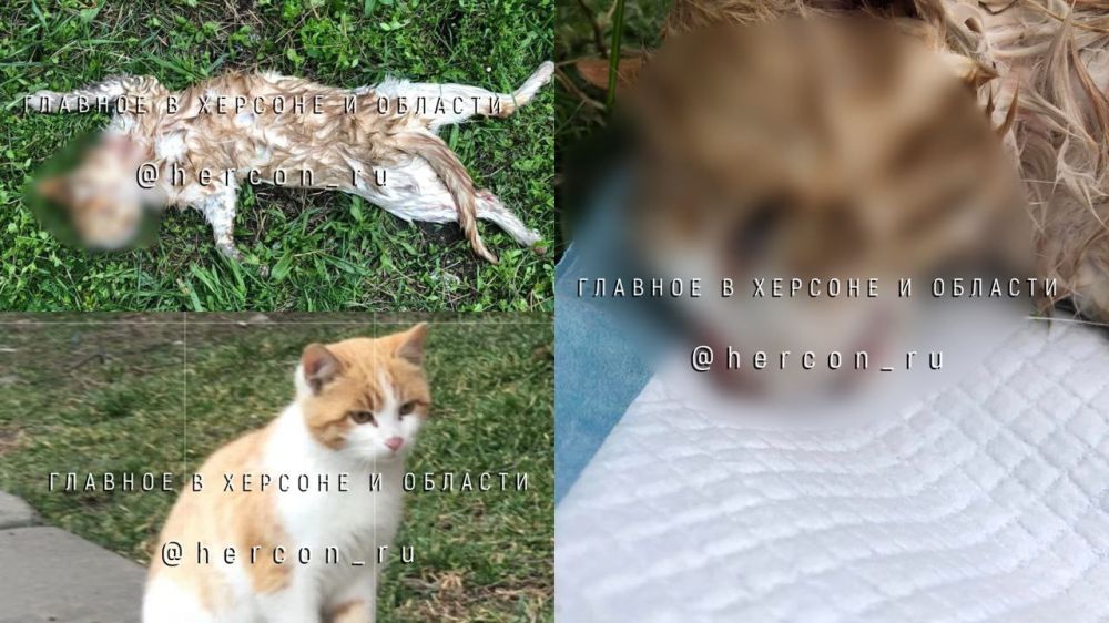 � ������� ���������� ���������� � �� ������ ������ ������� ����� ������ �����