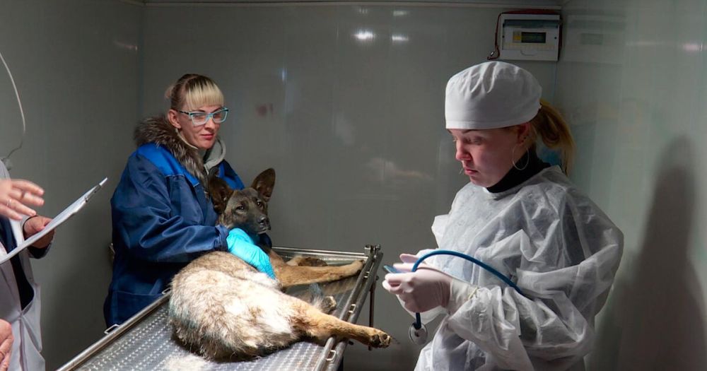 ���������� ����� ���� ������ �� ���������� � ����������� �������� �������� ��� ���������