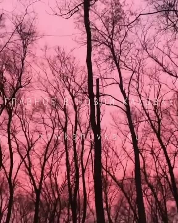 ������������ ����� � ������� � ���������� ������